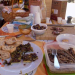 Photo 061
