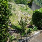 Image00014