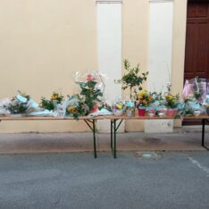 IMG 20250527 WA0007