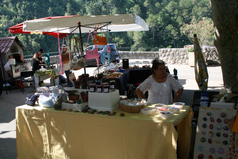 IMG 7731