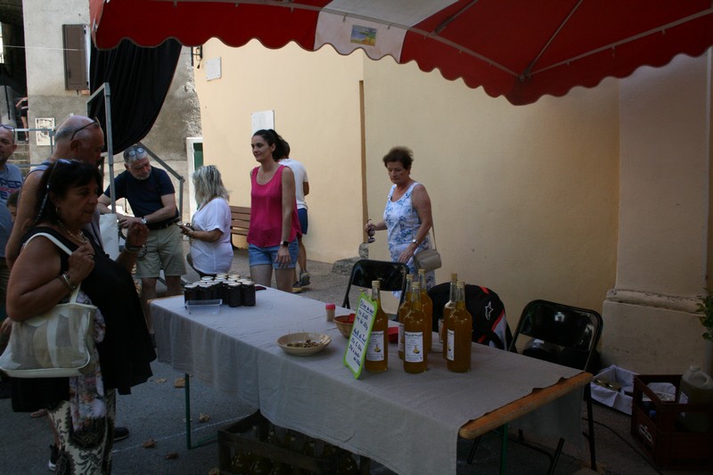 IMG 7746