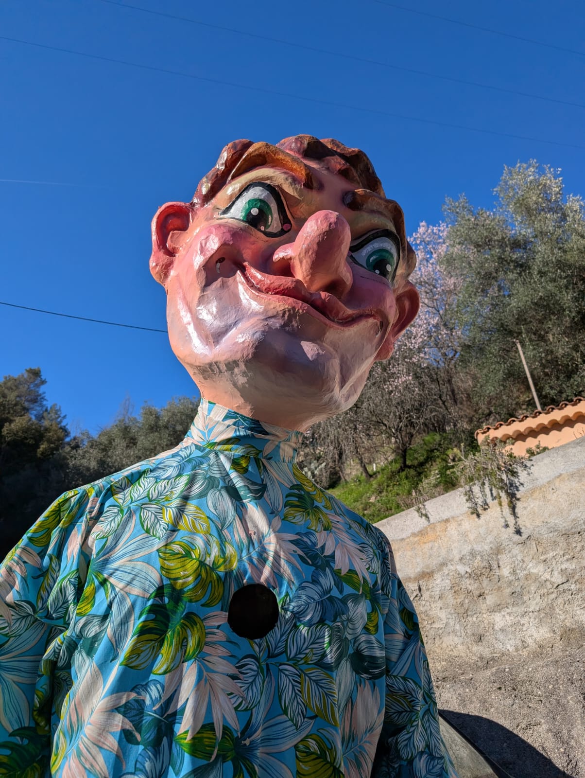 WhatsApp Image 2026 02 21 At 15.42.47