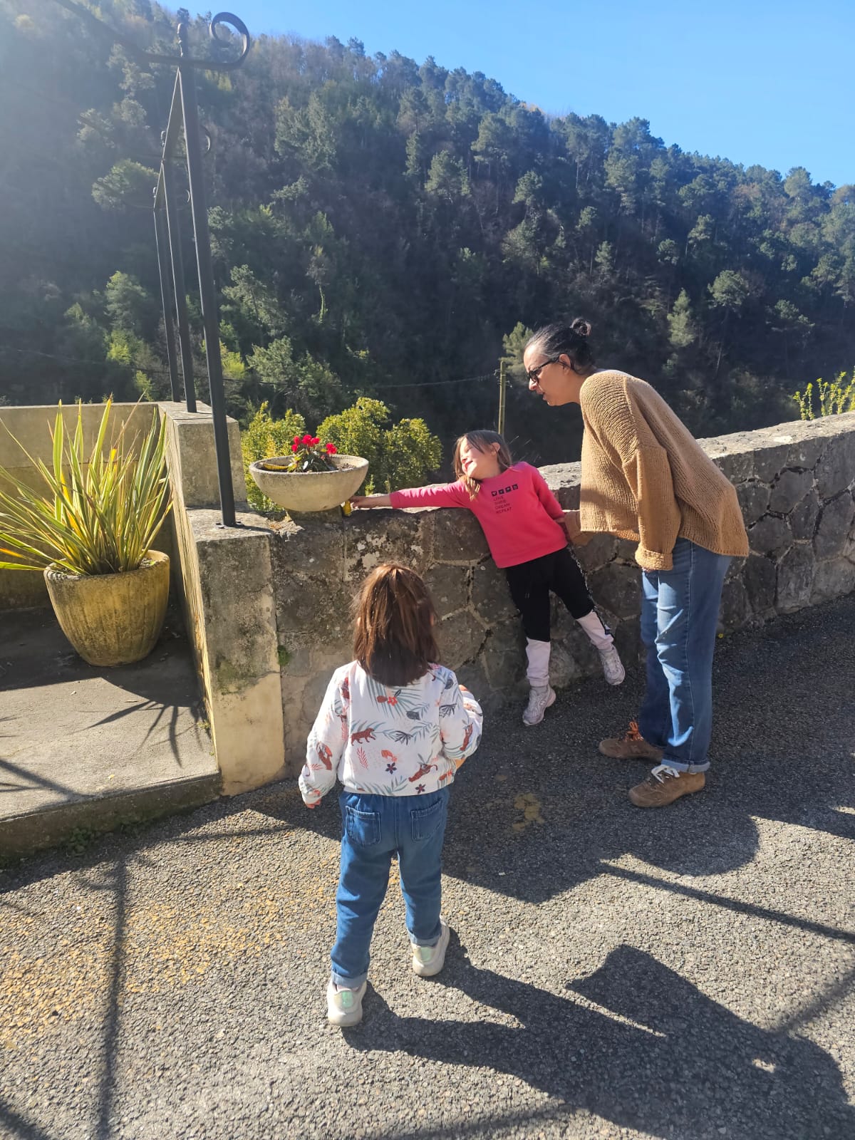 WhatsApp Image 2026 04 04 At 17.19.55 (3)