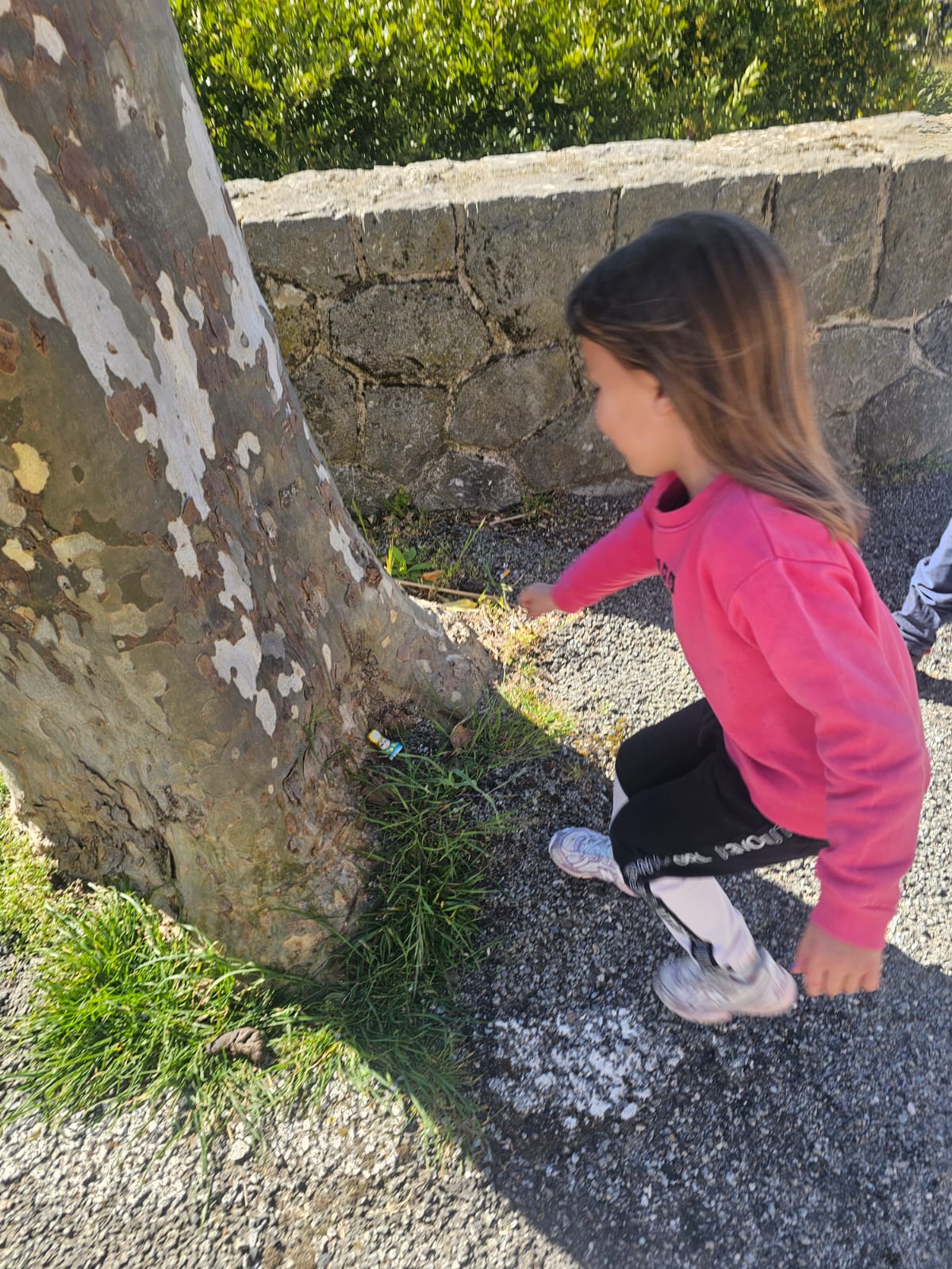 WhatsApp Image 2026 04 04 At 17.19.56 (2)