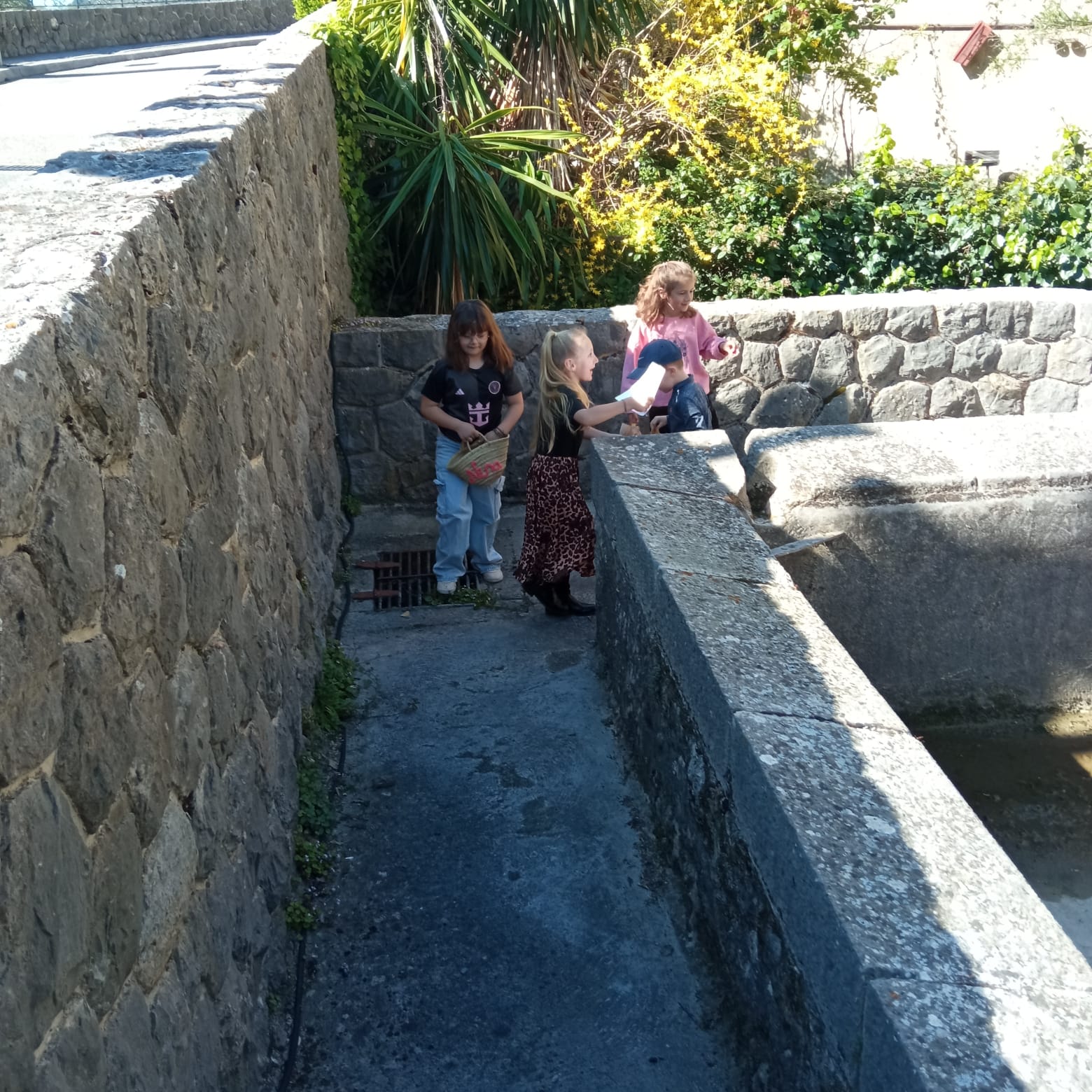 WhatsApp Image 2026 04 05 At 10.17.04 (1)